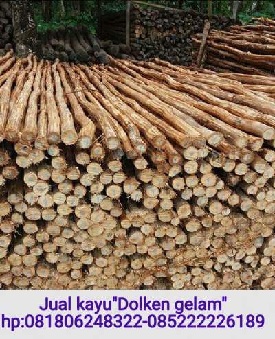 Jual Kayu Dolken di Garut