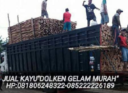 jual kayu gelam murah